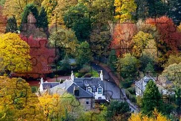 פאזל של Autumn trees