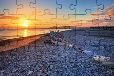 Spey Bay tree jigsaw puzzle