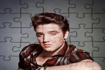 Graceland jigsaw puzzle