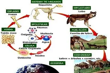 CIENCIAS NATURALES 1RO BÃSICO