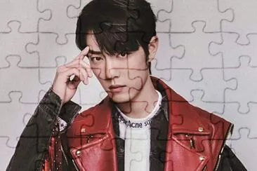 Chinese actor  Xiao Zhan jigsaw puzzle