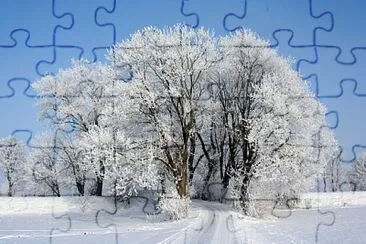 Top jigsaw puzzle