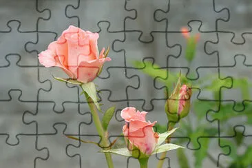 OK jigsaw puzzle