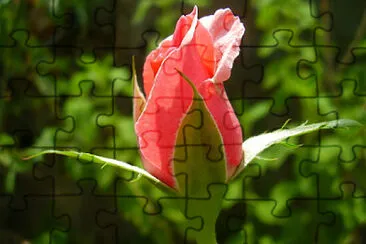 OK jigsaw puzzle