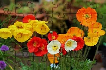 OK jigsaw puzzle