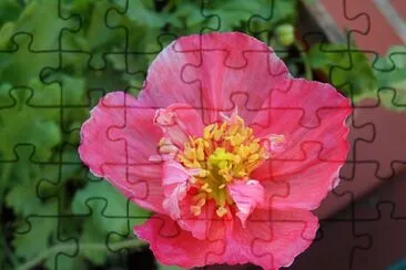 OK jigsaw puzzle