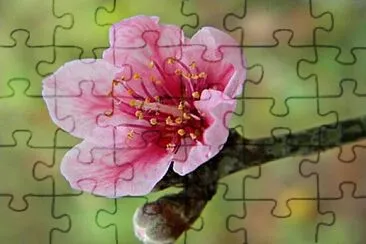 OK jigsaw puzzle