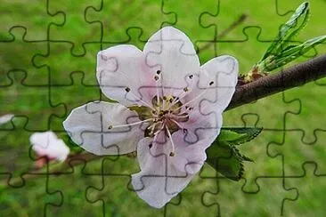 OK jigsaw puzzle