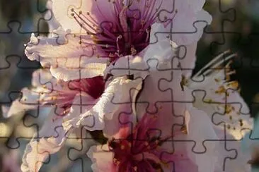 OK jigsaw puzzle