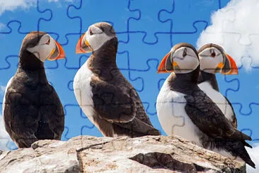 Imagem jigsaw puzzle