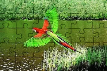 pop jigsaw puzzle