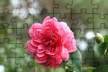 OK jigsaw puzzle