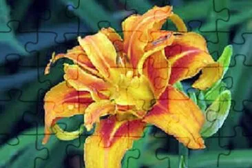 OK jigsaw puzzle