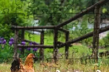 animales jigsaw puzzle