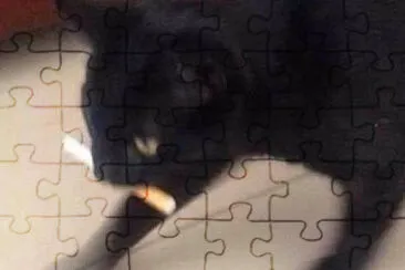 gato gigarro jigsaw puzzle