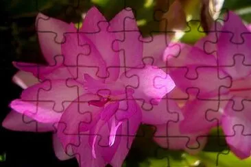 OK jigsaw puzzle