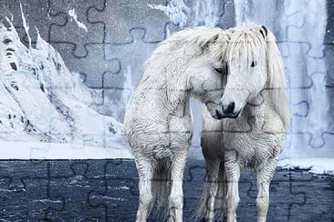 natural horse jigsaw puzzle