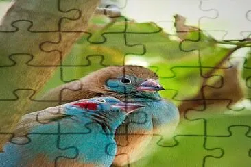 mimos jigsaw puzzle