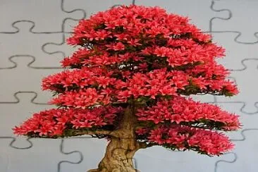 red jigsaw puzzle