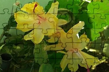 OK jigsaw puzzle