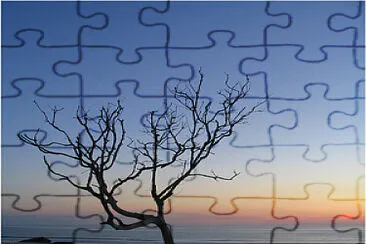 Au bord de l  'océan jigsaw puzzle