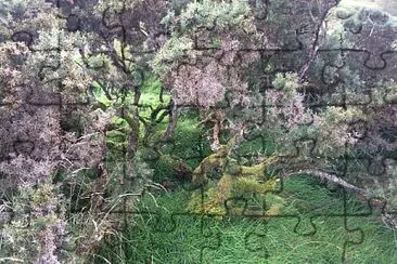 Bushes jigsaw puzzle