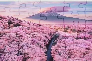 Flores jigsaw puzzle