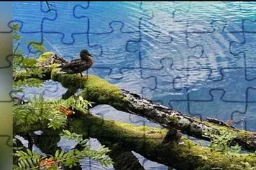 paisaje jigsaw puzzle