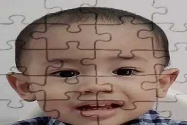  jigsaw puzzle