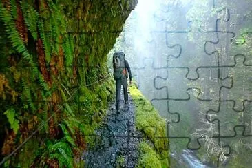 Top jigsaw puzzle