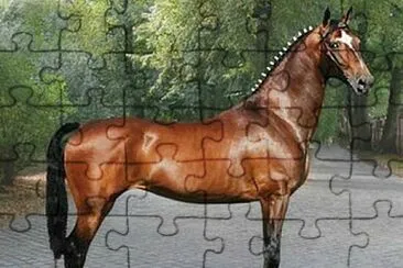 Tuigpaard jigsaw puzzle