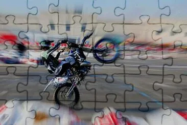 impennata jigsaw puzzle