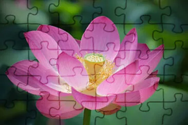  jigsaw puzzle