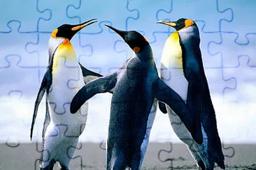 פאזל של pinguinos