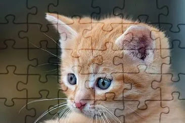 que susto jigsaw puzzle