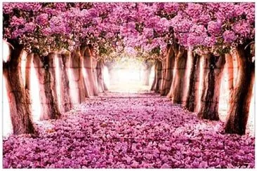 lane of pretty pink flowers