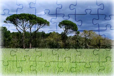 Culture jigsaw puzzle