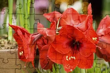 FLEUR GO jigsaw puzzle