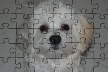 COCO jigsaw puzzle