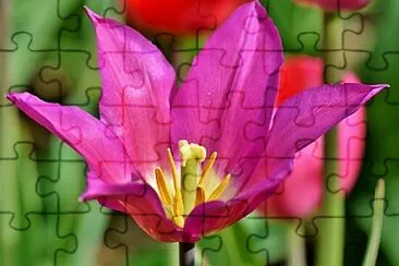 OK jigsaw puzzle