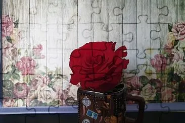 red rose jigsaw puzzle