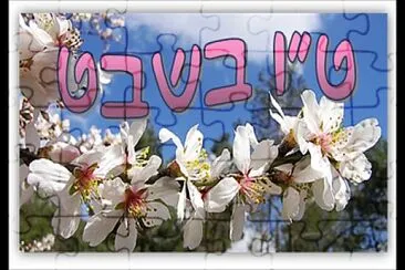 ×˜×• ×‘×©×‘×˜ jigsaw puzzle