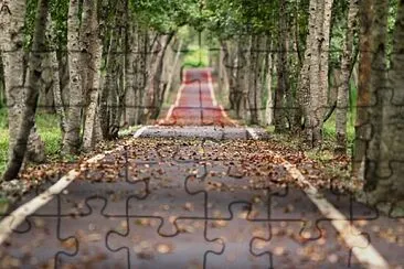 Foto jigsaw puzzle