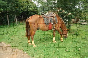 PoÃ§os de Caldas jigsaw puzzle