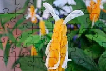 OK jigsaw puzzle