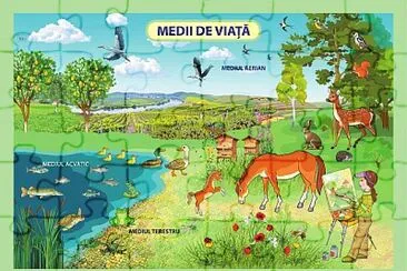 medii de viata