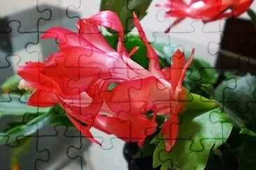 OK jigsaw puzzle