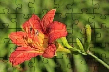 OK jigsaw puzzle