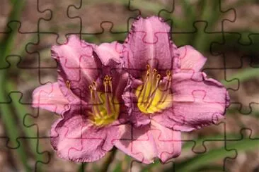 OK jigsaw puzzle