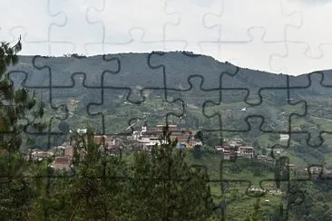 mascotas jigsaw puzzle